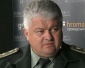 2017. Взгляд на Собак